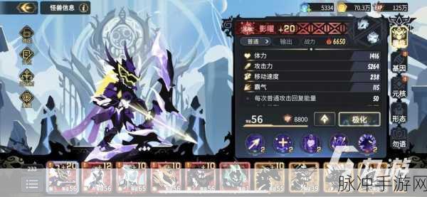 超进化物语手游攻略，深入探索各种族进化方向