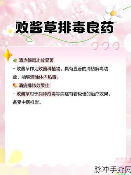 波西亚时光手游攻略，揭秘劳拉的多重作用与获取方法