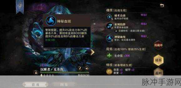 猎魂觉醒双剑选哪个系介绍，全面解析与攻略