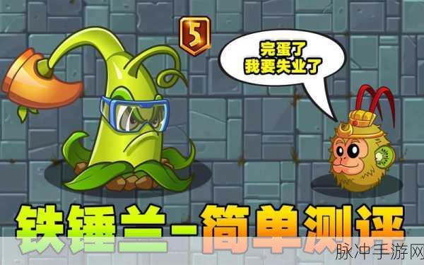 猕猴桃种植技术与病害防治，手游中的田园冒险攻略