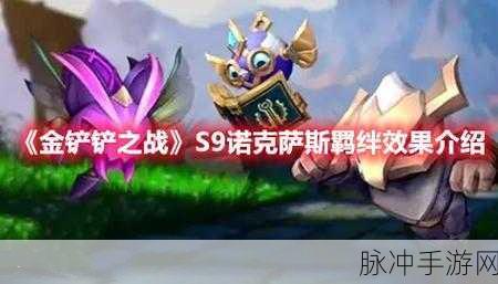 金铲铲之战S9诺克萨斯羁绊深度解析与攻略指南