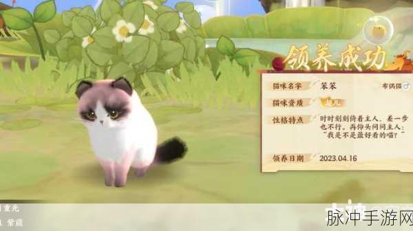 忘川风华录布偶猫获取全攻略，解锁你的萌宠之旅