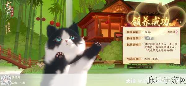忘川风华录布偶猫获取全攻略,解锁你的萌宠之旅