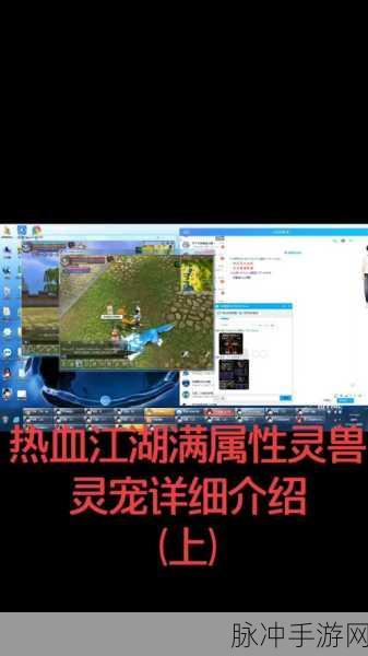 热血江湖手游，虎峡谷卡怪秘籍与景点探秘