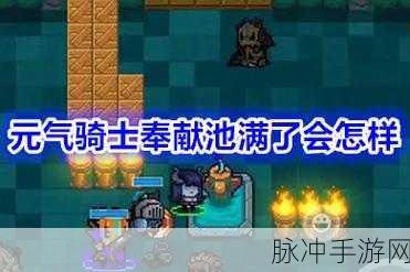 元气骑士奉献池深度解析，作用及用法一览