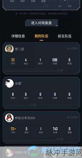 和平精英，全面解析如何隐藏个人战绩