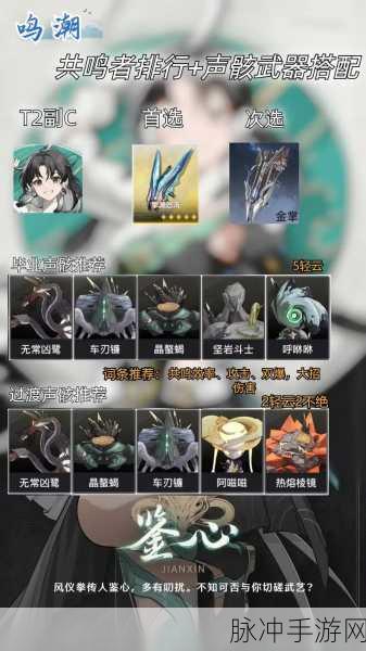 鸣潮手游鉴心最佳声骸搭配指南