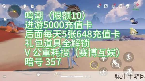 鸣潮手游攻略，深度解析戍关长刃定军