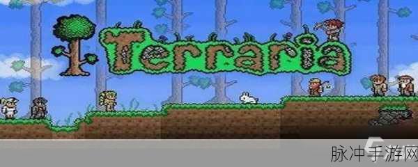 泰拉瑞亚吸血飞刀获取攻略，解锁近战神器的秘密