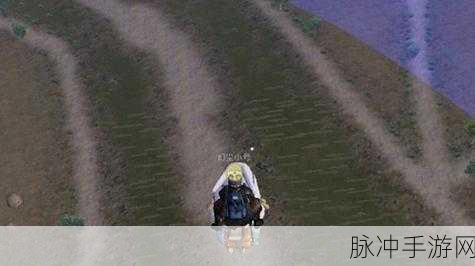 和平精英，掌握兔子超级跳技巧，操作指南全解析及实战应用