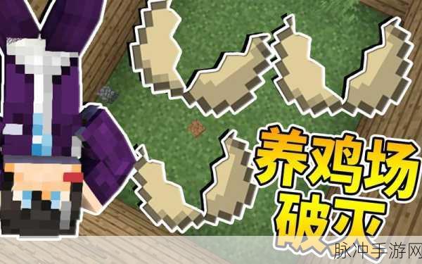 我的世界鸡蛋快速回收攻略，打造高效鸡蛋收集系统