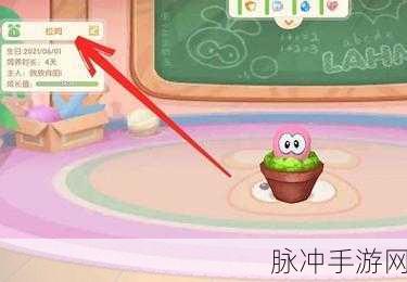 摩尔庄园手游攻略，如何悉心照料你的小拉姆？