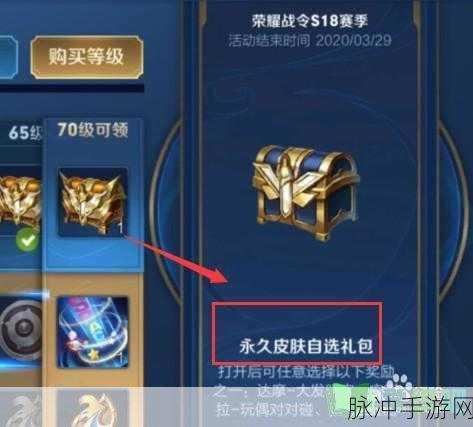 王者荣耀，全面解析免费皮肤获取方法