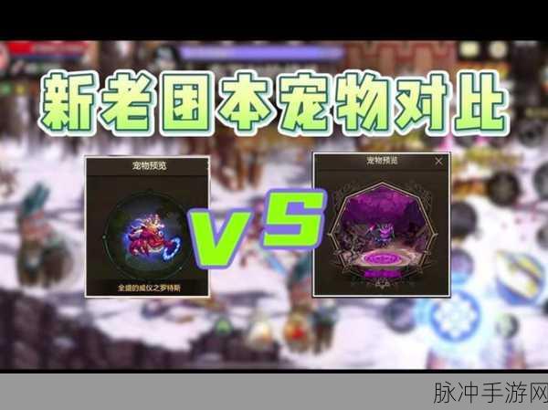 DNF手游宠物系统深度解析，全面攻略助你打造最强宠物阵容