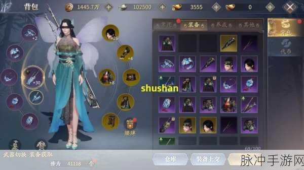 蜀山传奇手游攻略，深度解析55级装备与战力提升