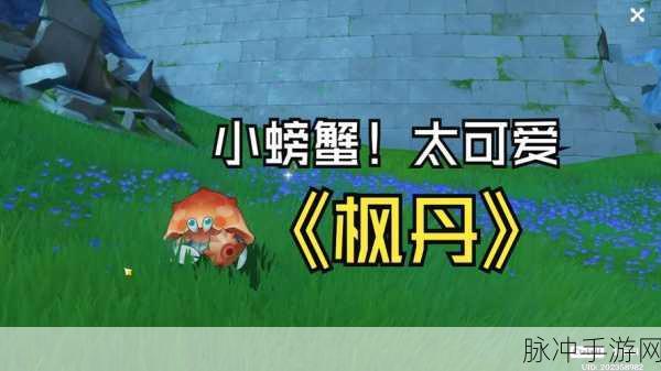 原神枫丹，与螃蟹有关宝箱一的探秘之旅