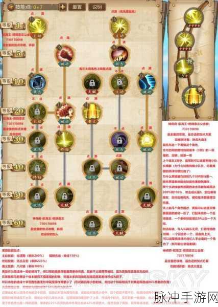 航海王燃烧意志，新世界罗技能全解与阵容精妙搭配