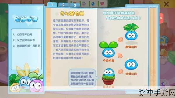 摩尔庄园手游攻略，如何给拉姆喂食物