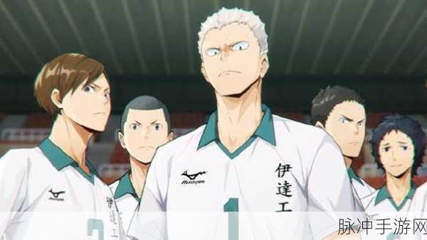 泽村大地与道宫，手游排球少年中的师徒情深