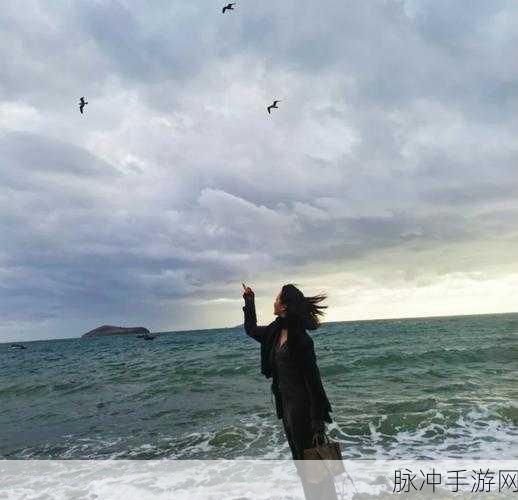 暗影之力深度探索，揭秘黑暗之光与魂器之灵的终极奥秘