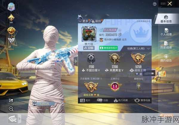 和平精英，个人战绩隐藏秘籍大公开