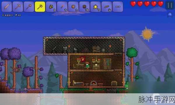 泰拉瑞亚房间码查找全攻略，轻松联机，畅享游戏乐趣