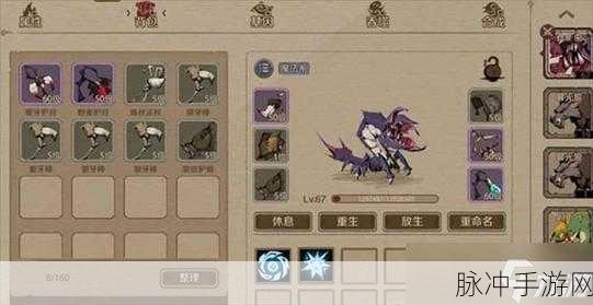 时间之钥，魔化宠物捕获秘籍大公开