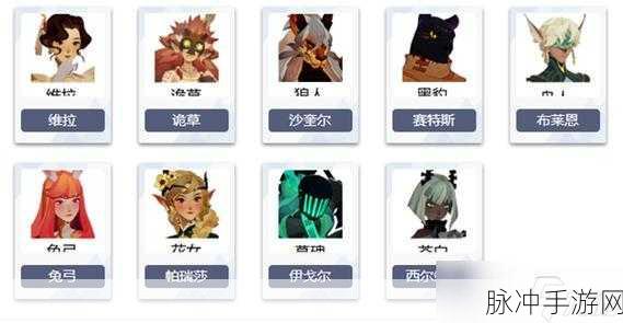 剑与远征，启程深度攻略，尼汝角色解析与高效升级策略