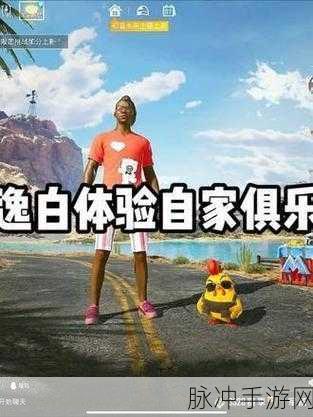 侠客纹银情缘任务全攻略，解锁情感与冒险的双重体验