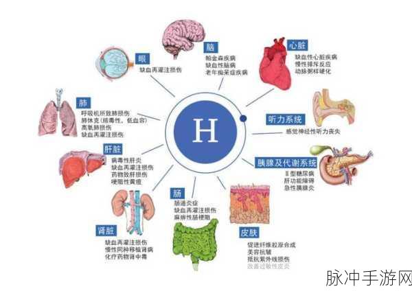 侠客纹银情缘任务全攻略，解锁情感与冒险的双重体验