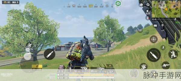 使命召唤手游吃鸡秘籍大公开