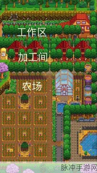 星露谷物语农场、沙漠及城镇地图全攻略