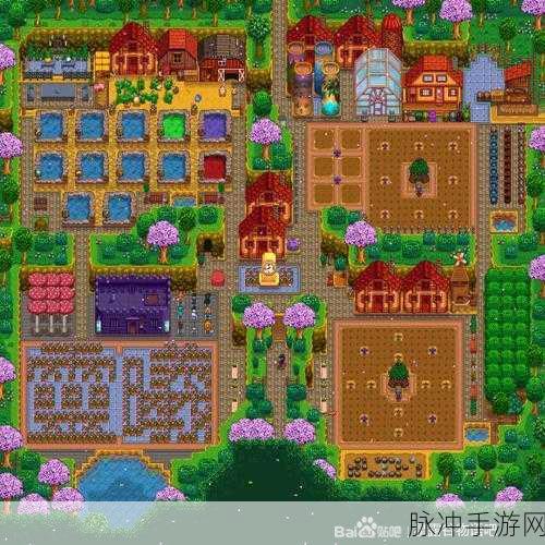 星露谷物语农场、沙漠及城镇地图全攻略