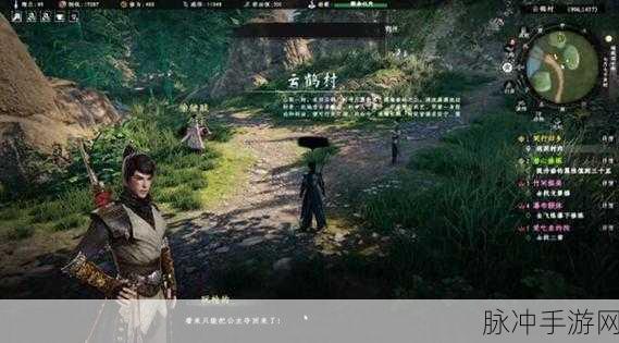下一站江湖2涂鸦石头任务全攻略，探索云鹤村的奇妙之旅