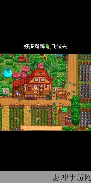 星露谷物语农场选择攻略，打造你的梦幻田园