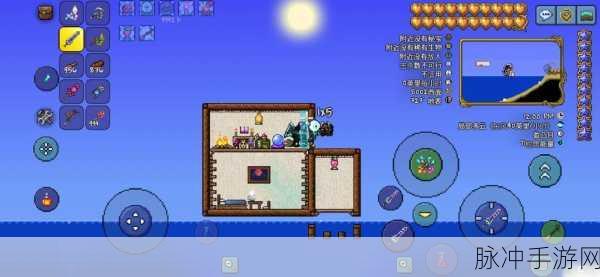 泰拉瑞亚手游攻略，揭秘会攻击敌人的宠物及其战斗策略