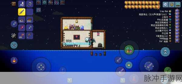 泰拉瑞亚手游攻略，揭秘会攻击敌人的宠物及其战斗策略