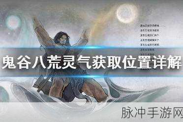 鬼谷八荒风霖露获取秘籍大公开