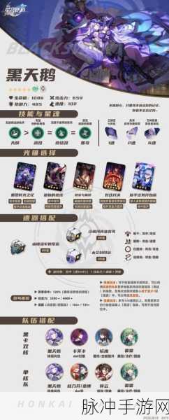崩坏星穹铁道，深度解析黑天鹅的顶级配队策略