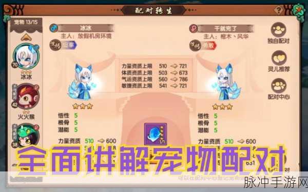 造梦无双宠物全解析及获取秘籍