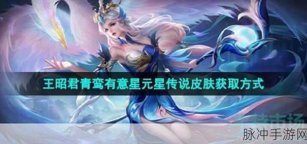 王者荣耀王昭君青鸾有意皮肤价格全解析