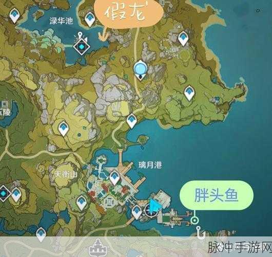 原神钓鱼地点全攻略，解锁鱼叉的必备指南