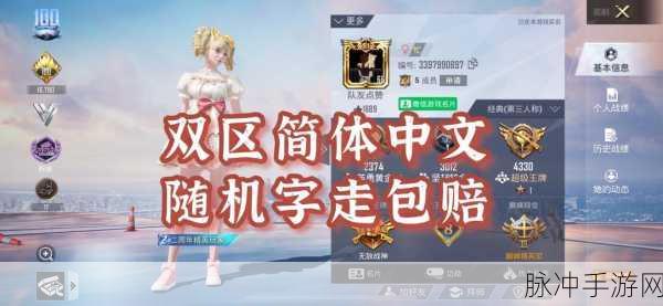 和平精英未注册单字ID大揭秘，稀有字符助你独步战场