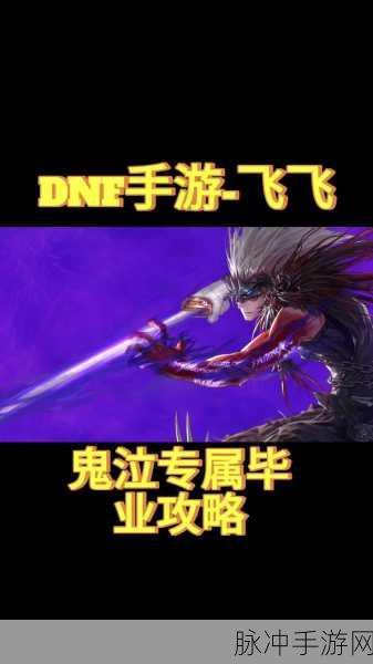 DNF2025鬼泣白金徽章选择全攻略