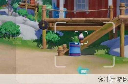 心动小镇海鸥资料卡全攻略，耐心与毅力助你解锁新乐趣