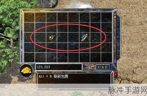 热血传奇手游，获取麻痹戒指的终极指南