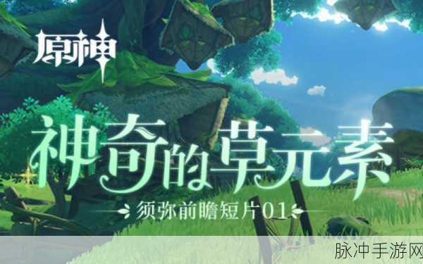 原神草元素反应最新爆料，探索须弥版本的元素奥秘