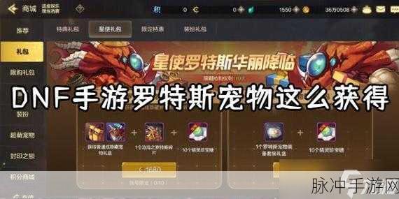 DNF 手游宠物系统全解析，玩法秘籍大公开