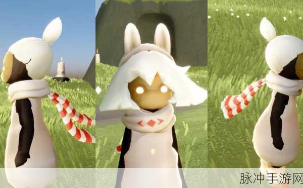 光遇姆明季探险启程，首个任务完美攻略指南