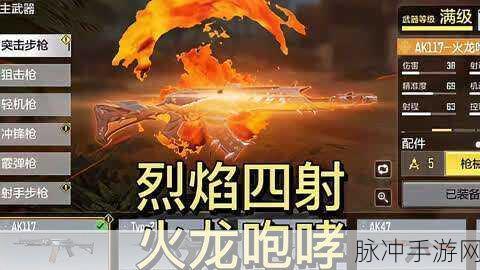 使命召唤手游深度攻略，揭秘火龙咆哮抽取价格背后的秘密
